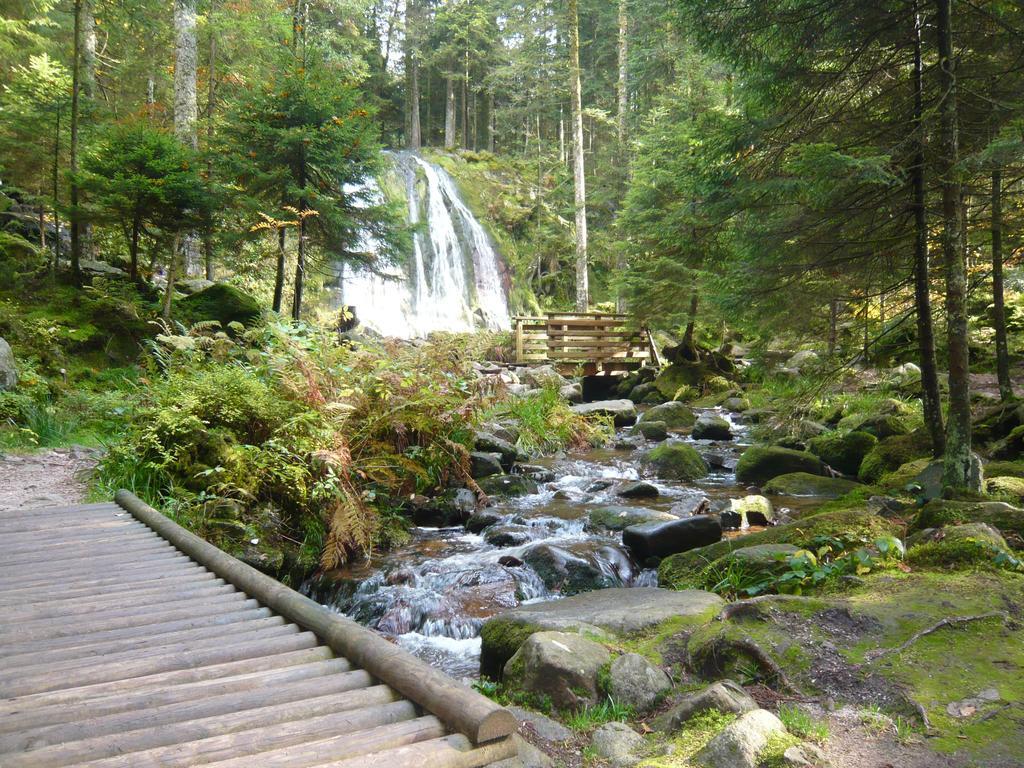 Chalet Luxe 12 Personnes Spa Sauna Vosges-Gerardmer Le Tholy Ngoại thất bức ảnh