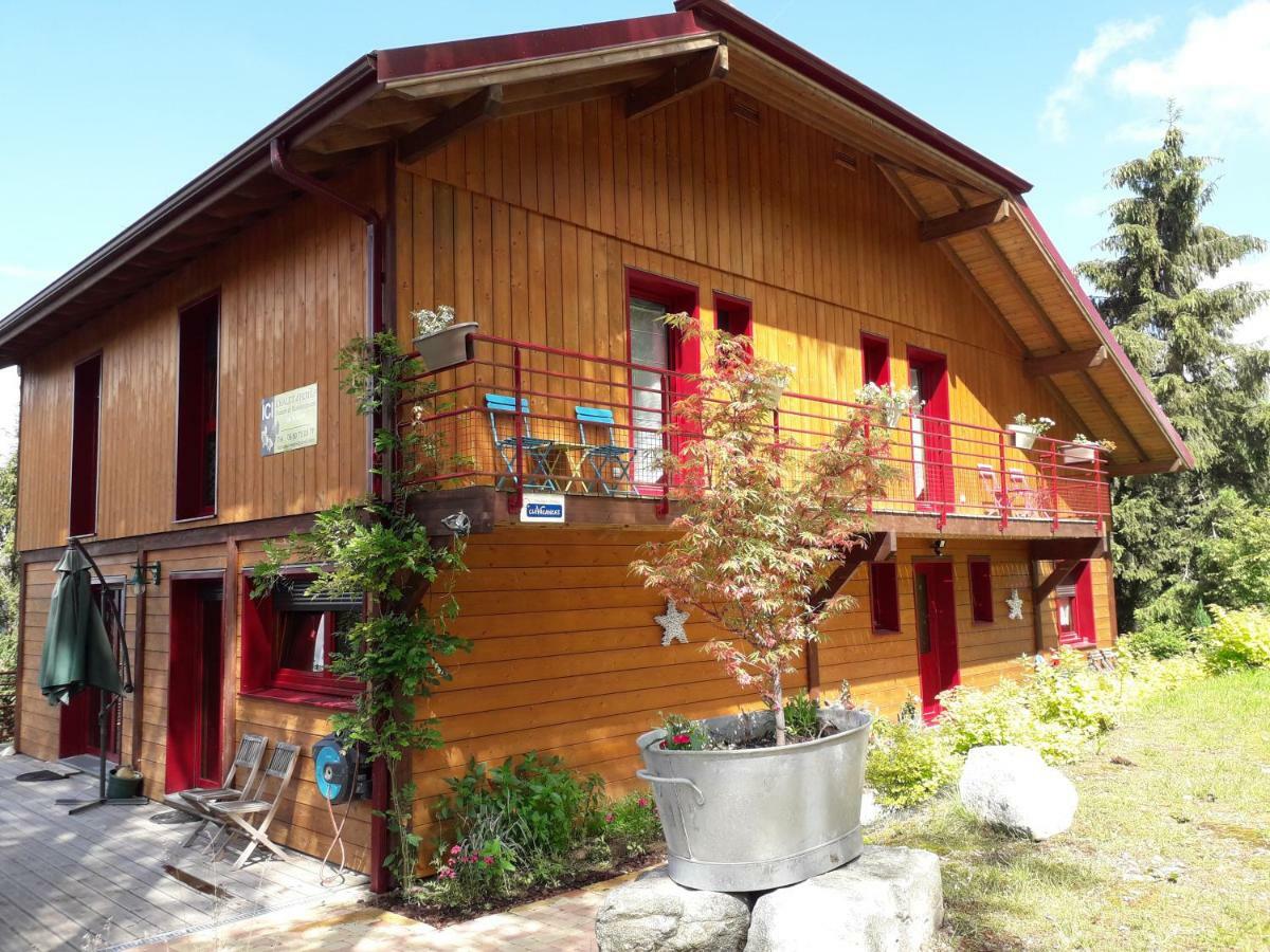 Chalet Luxe 12 Personnes Spa Sauna Vosges-Gerardmer Le Tholy Ngoại thất bức ảnh