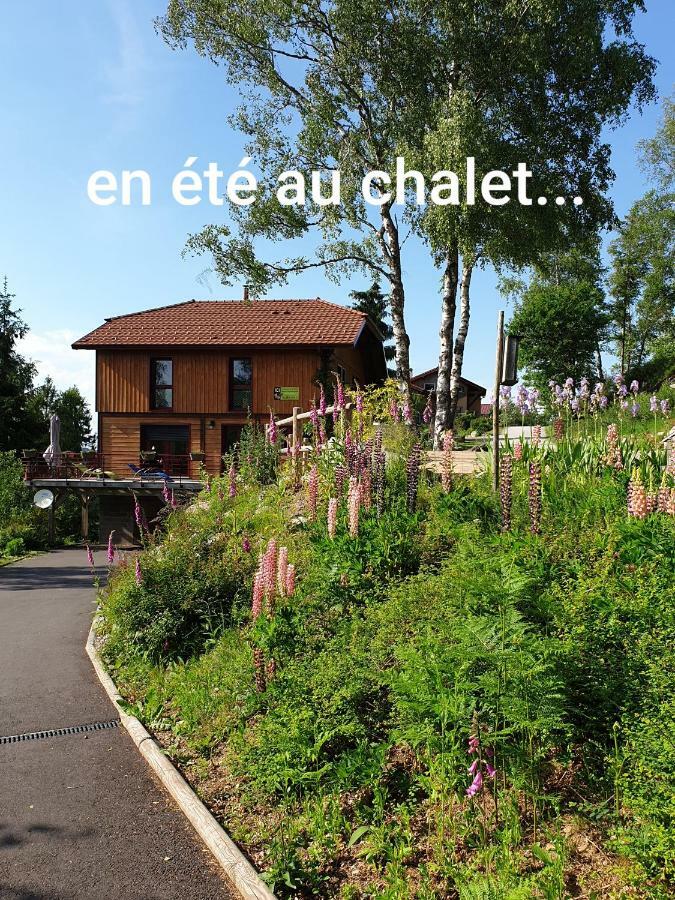 Chalet Luxe 12 Personnes Spa Sauna Vosges-Gerardmer Le Tholy Ngoại thất bức ảnh